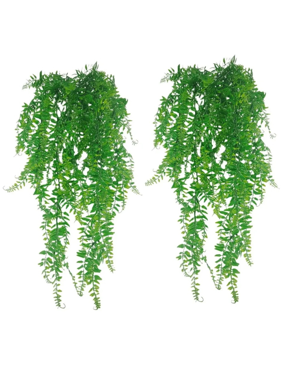 Set de planta colgante Ivy Natural 1