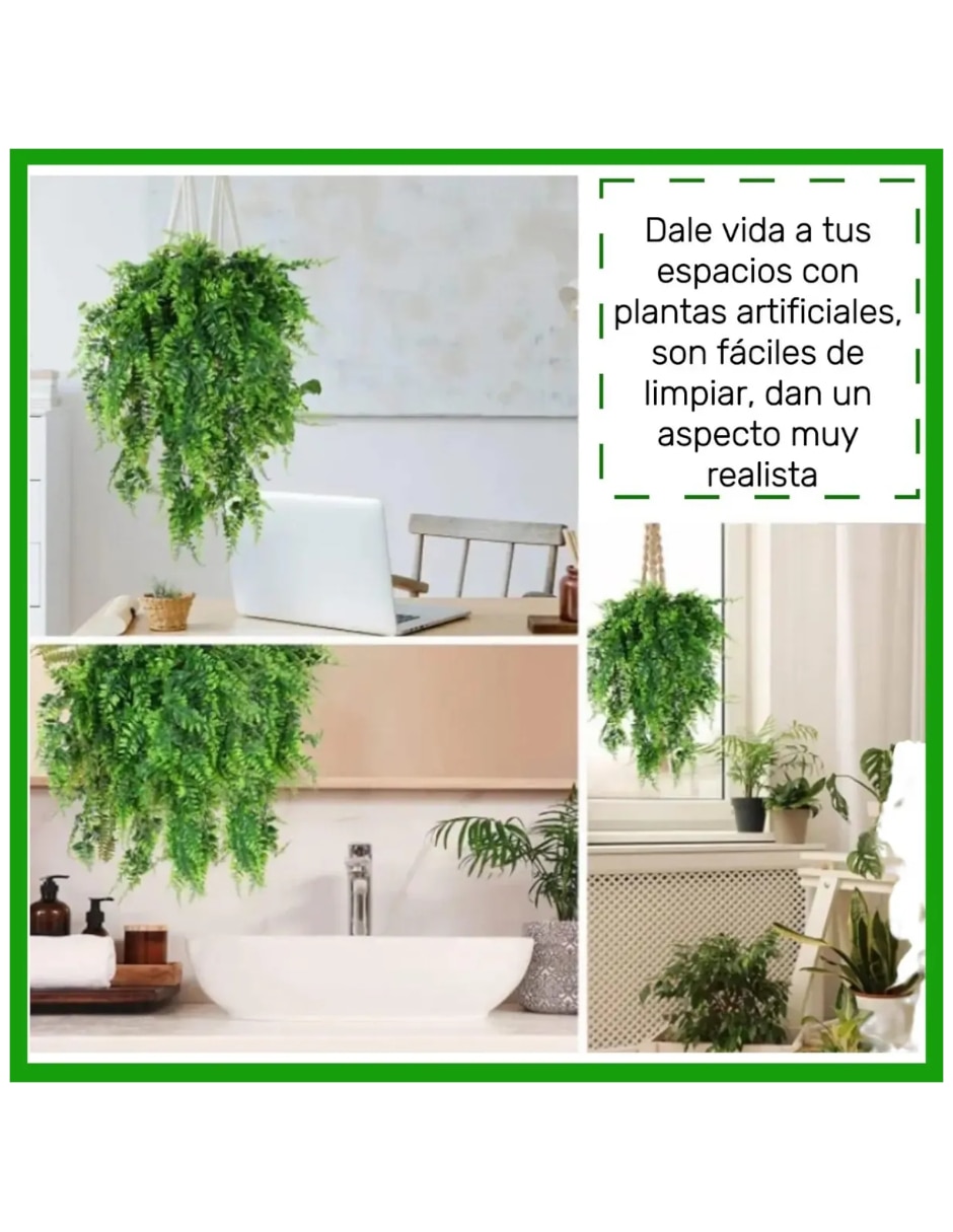 Set de planta colgante Ivy Natural 2
