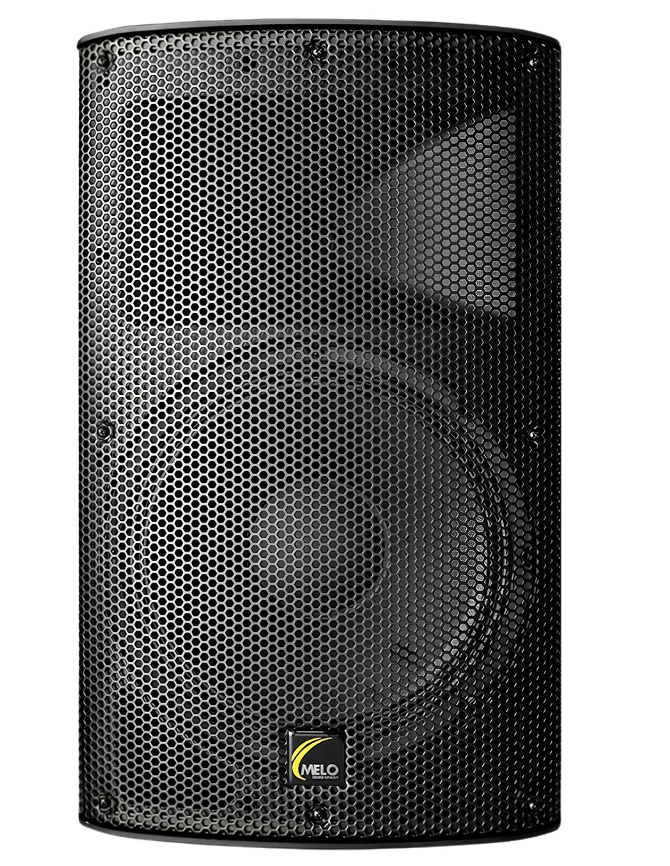Bafle de piso DSP12-MP3