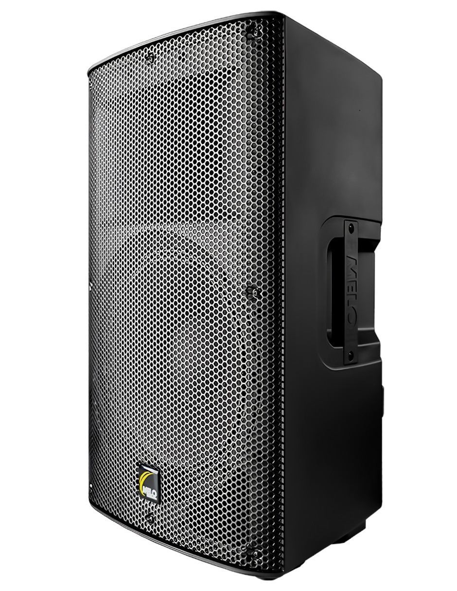 Bafle de piso DSP12-MP3 2