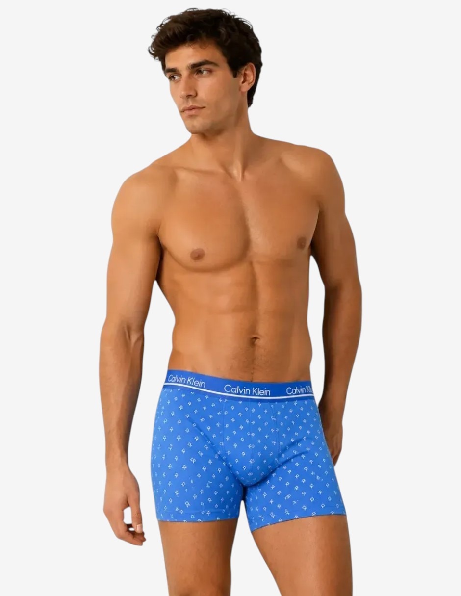 Bóxer brief de microfibra para hombre 4 piezas Bóxer brief de microfibra para hombre 4 piezas