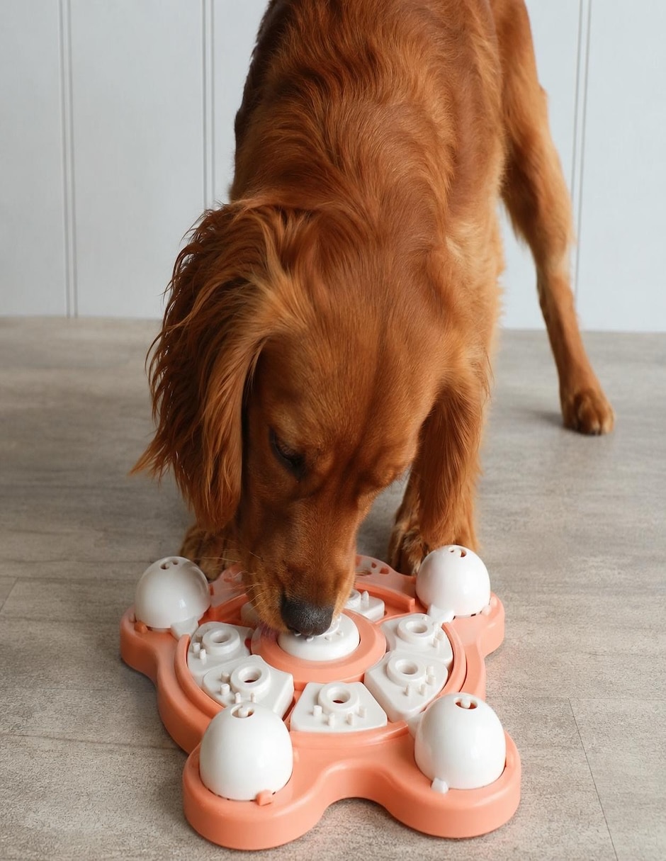 Juguete interactivo para perro 2