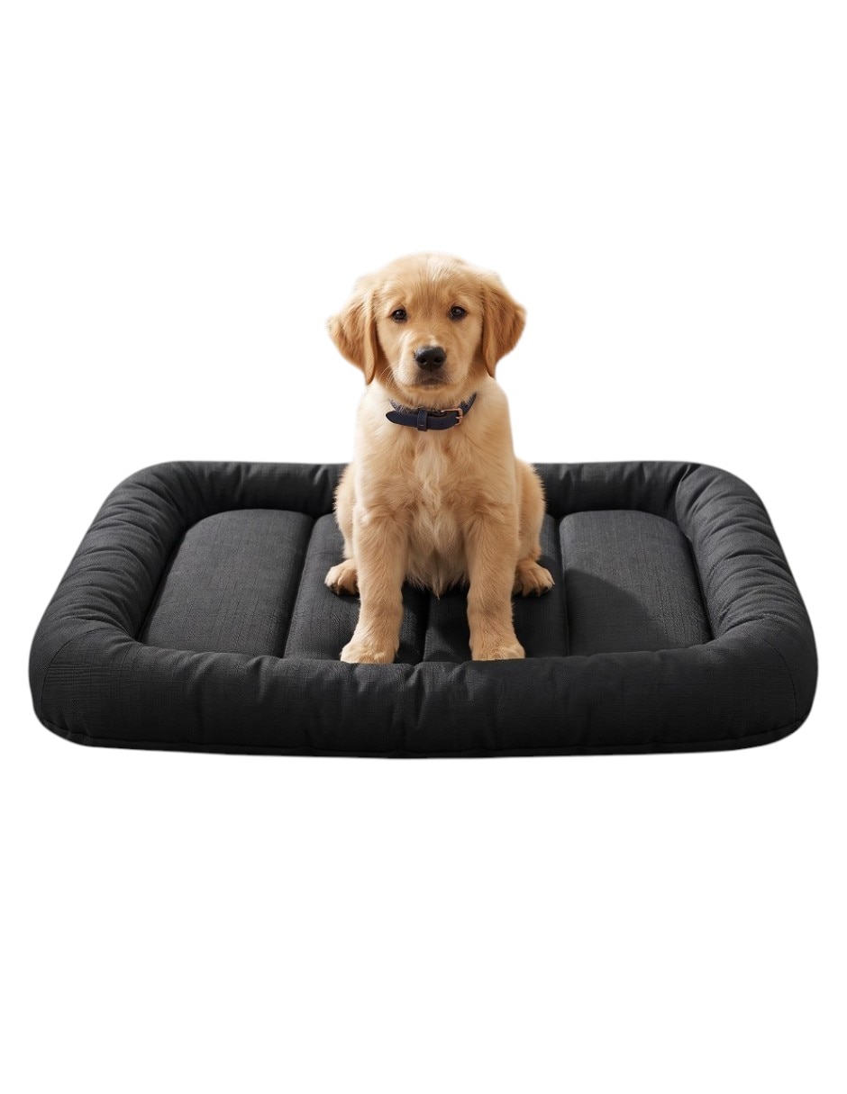 Cama para perro 1