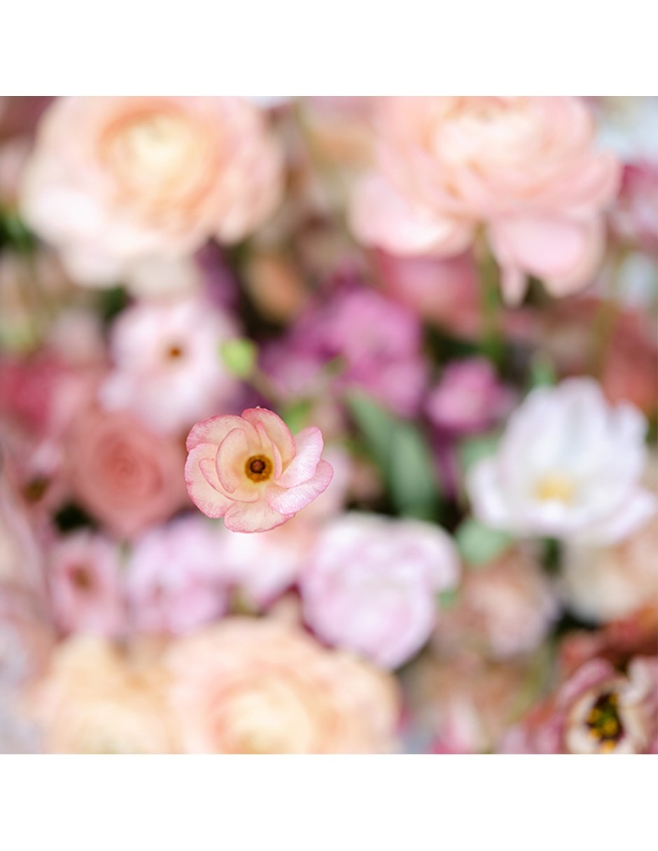 Lente 55 mm f / 1.8 4