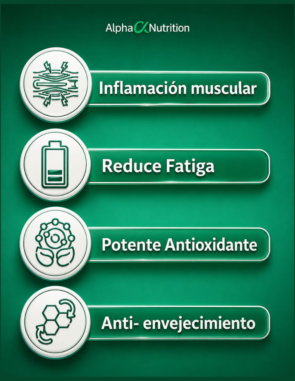 NAC con N-Acetil-Cisteína 3