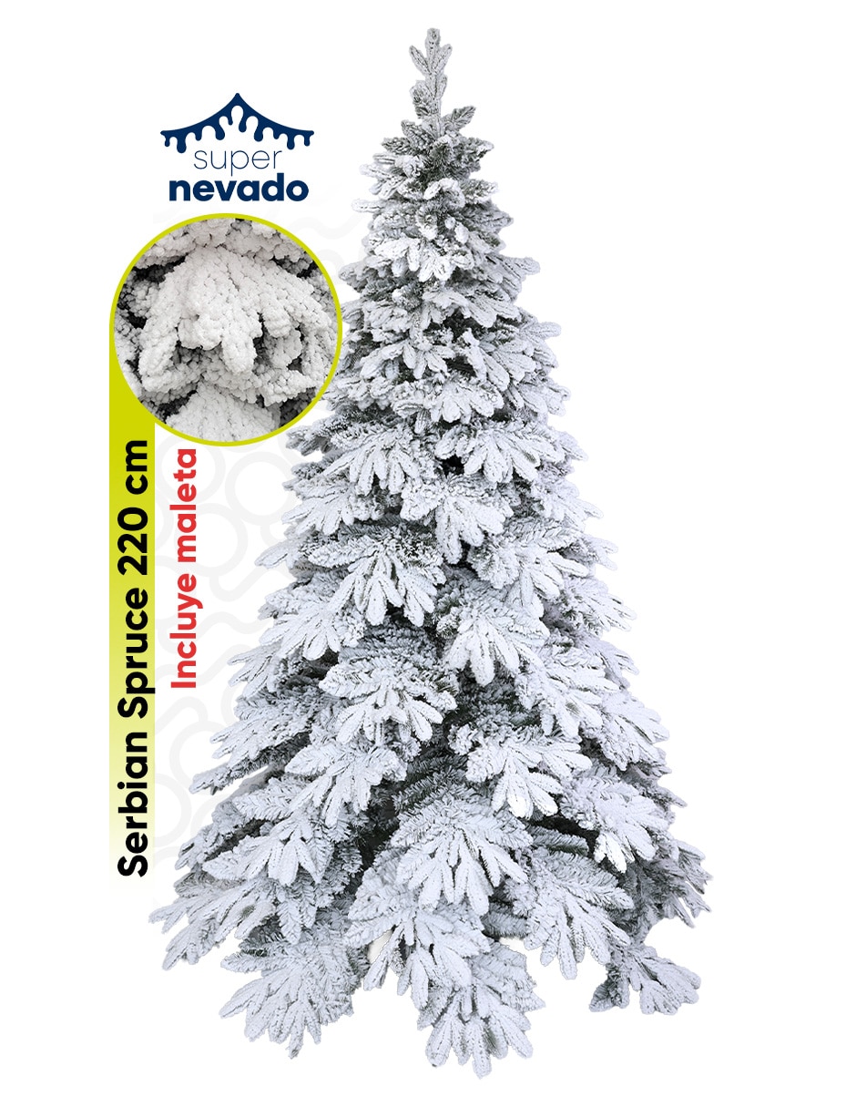 Árbol de navidad Serbian Spruce Árbol de navidad Serbian Spruce