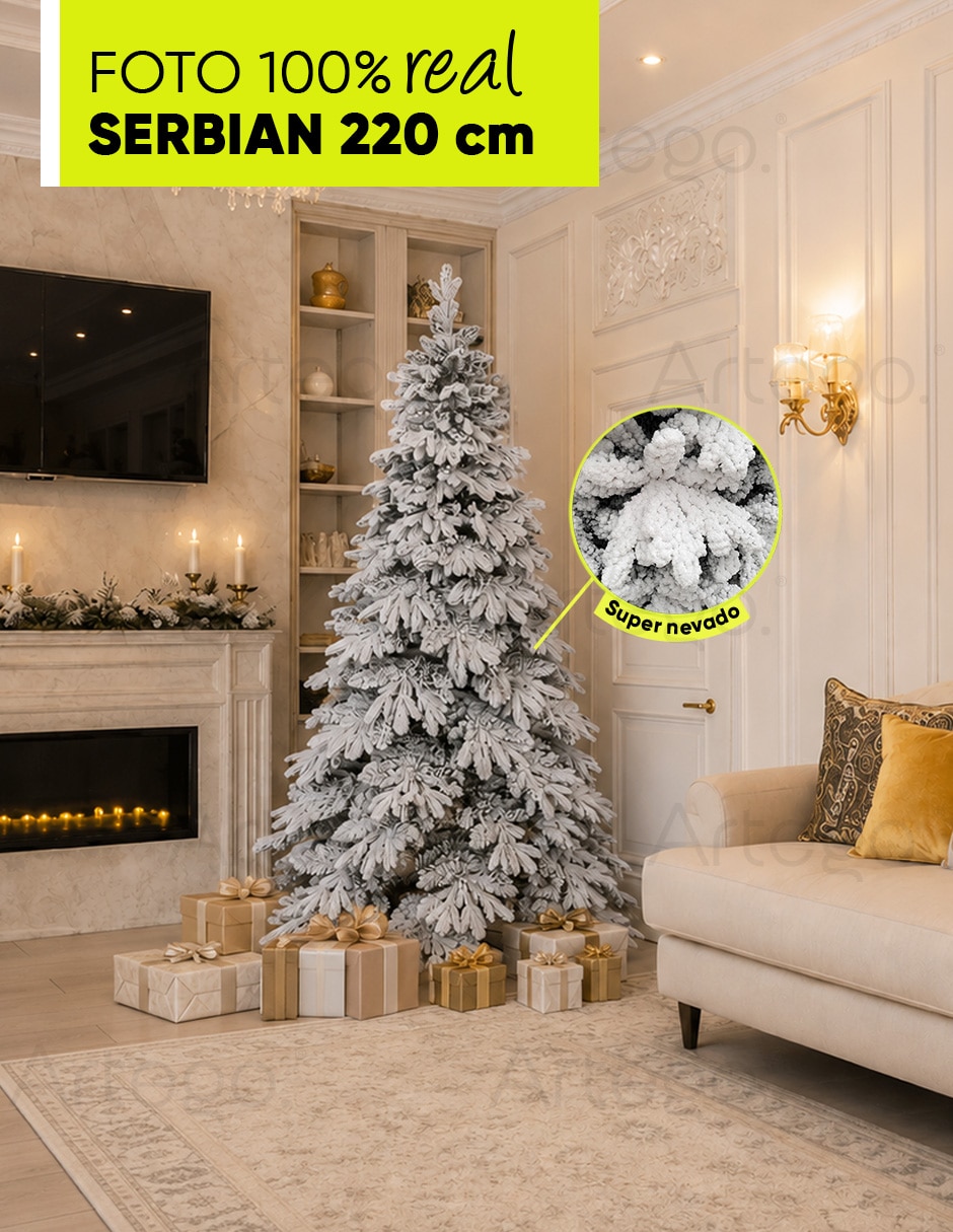 Árbol de navidad Serbian Spruce 3