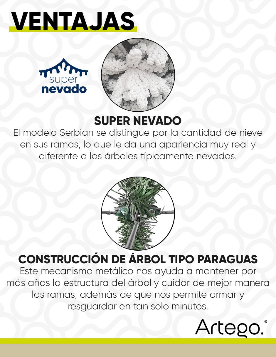 Árbol de navidad Serbian Spruce 5