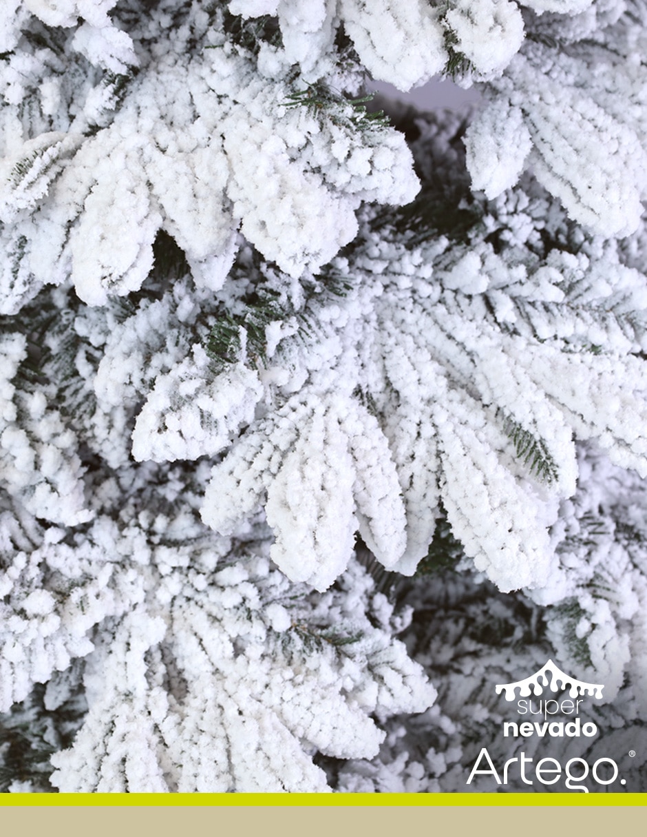 Árbol de navidad Serbian Spruce 6