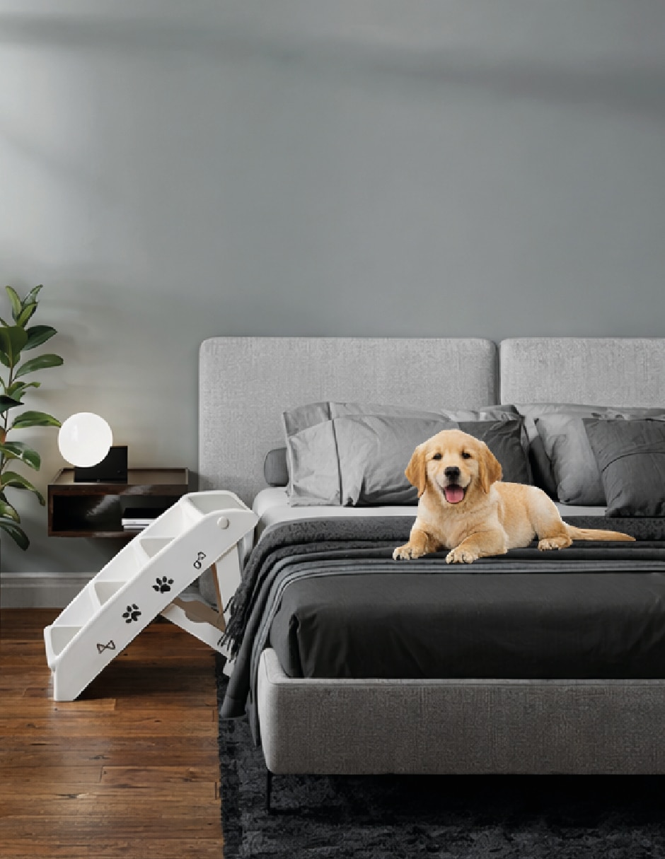 Escalera para mascota con 4 3