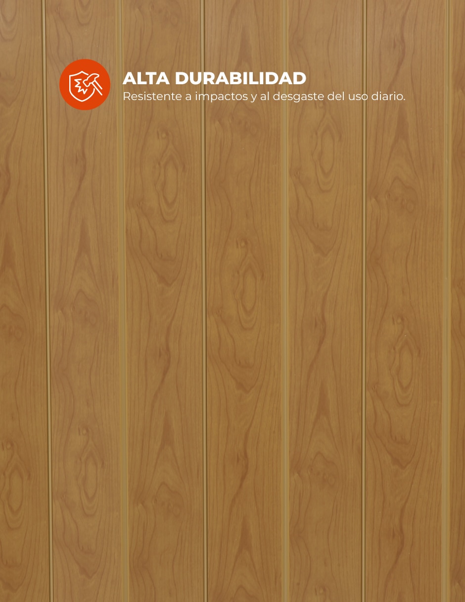 Puerta plegable 7