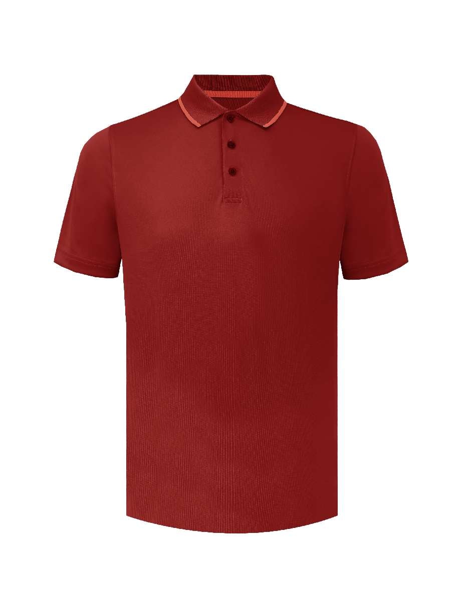 Playera tipo polo para hombre 1