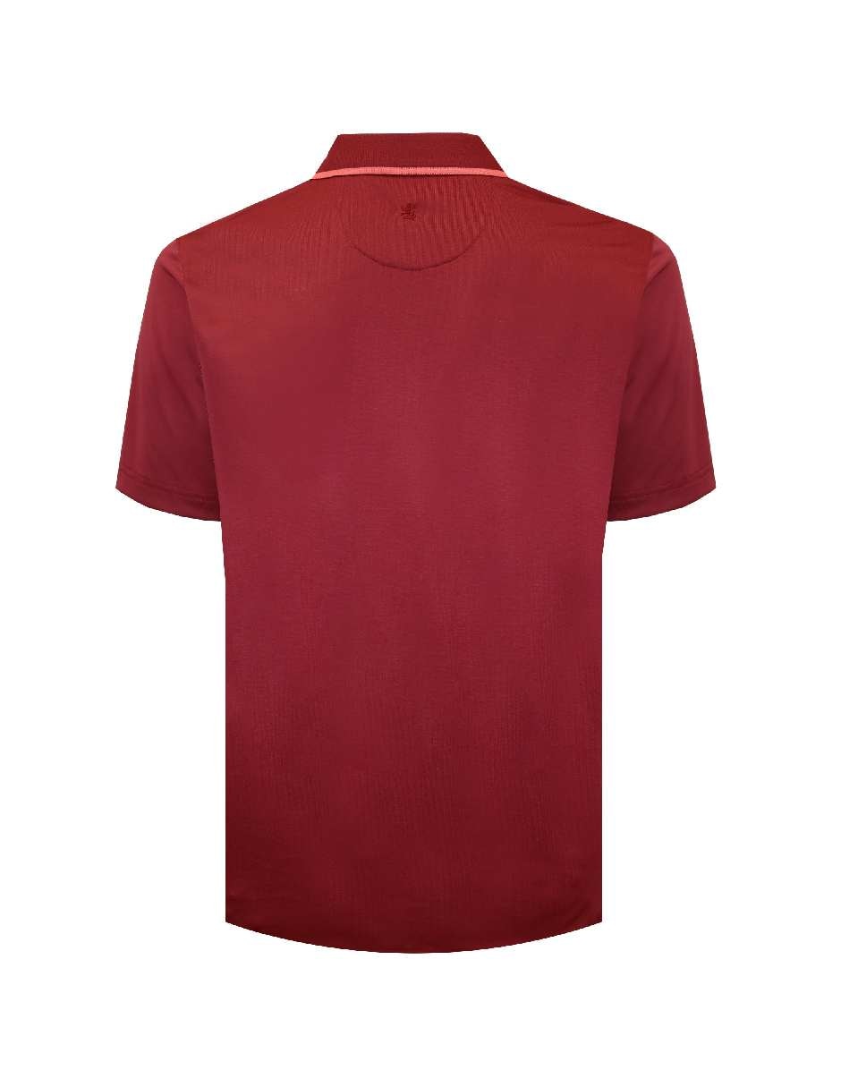 Playera tipo polo para hombre 2
