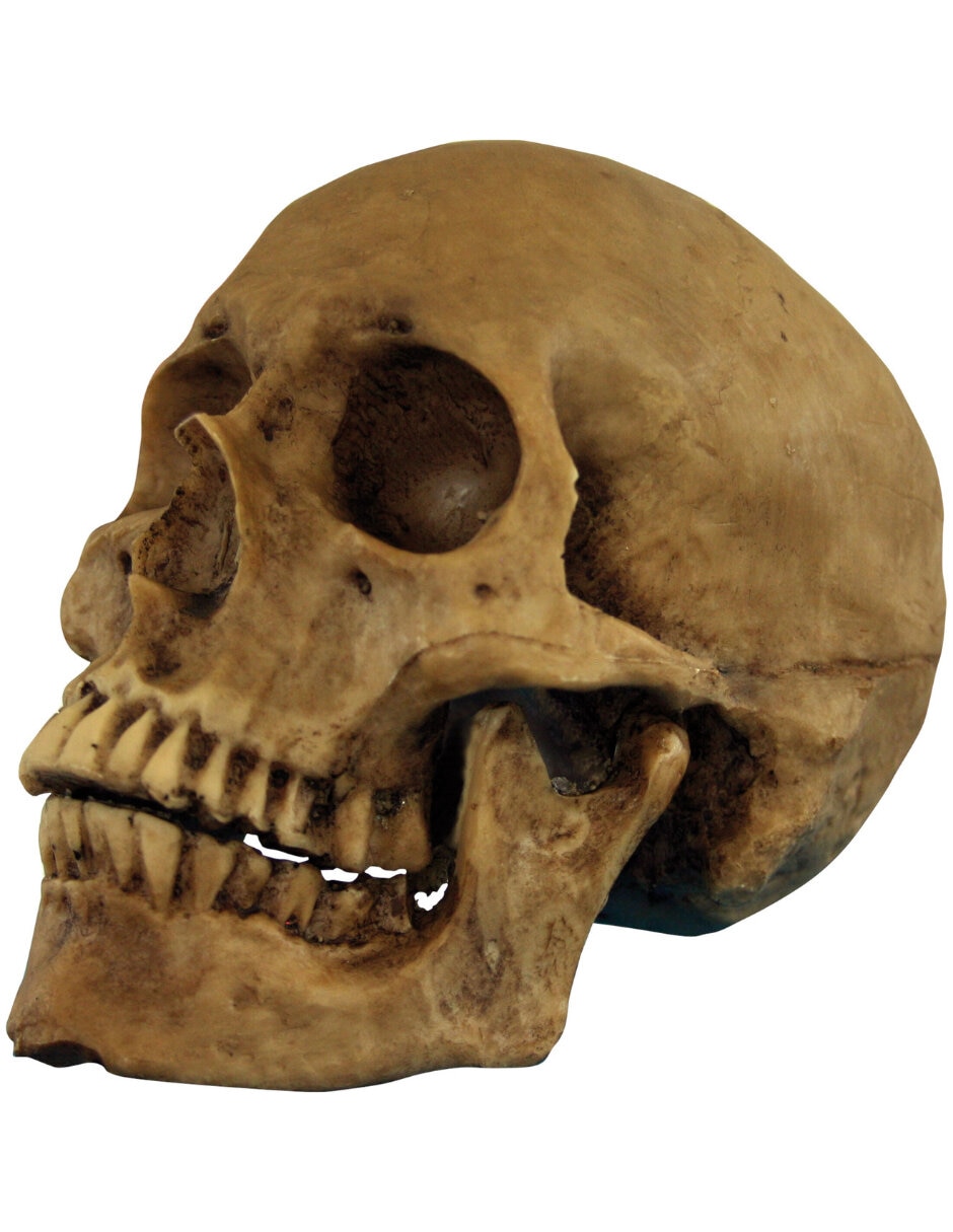 Figura decorativa de cabeza halloween adorno de resina