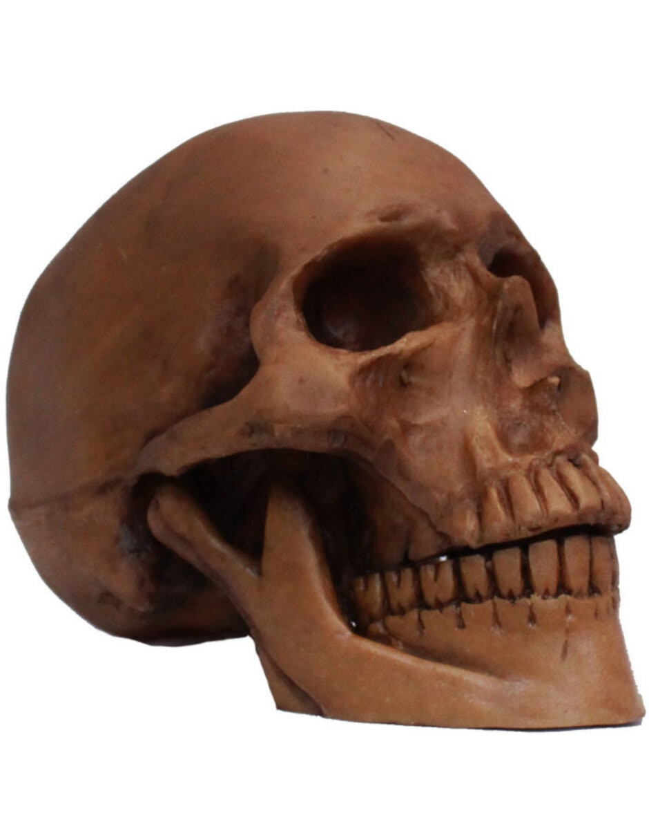 Figura decorativa de cabeza halloween adorno de resina 4