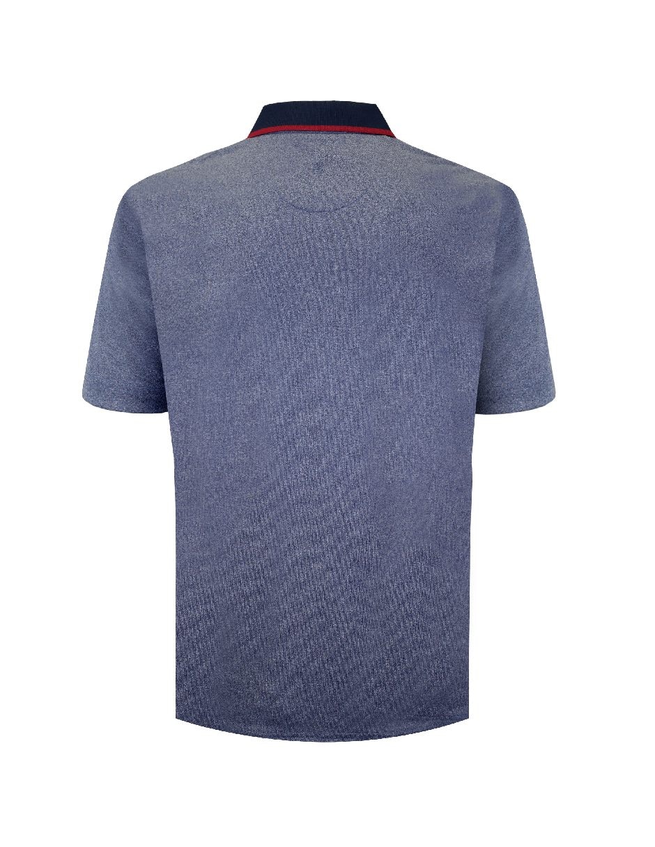 Playera tipo polo para hombre 2