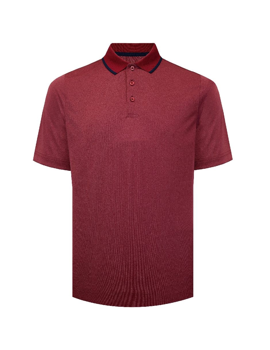 Vino 4