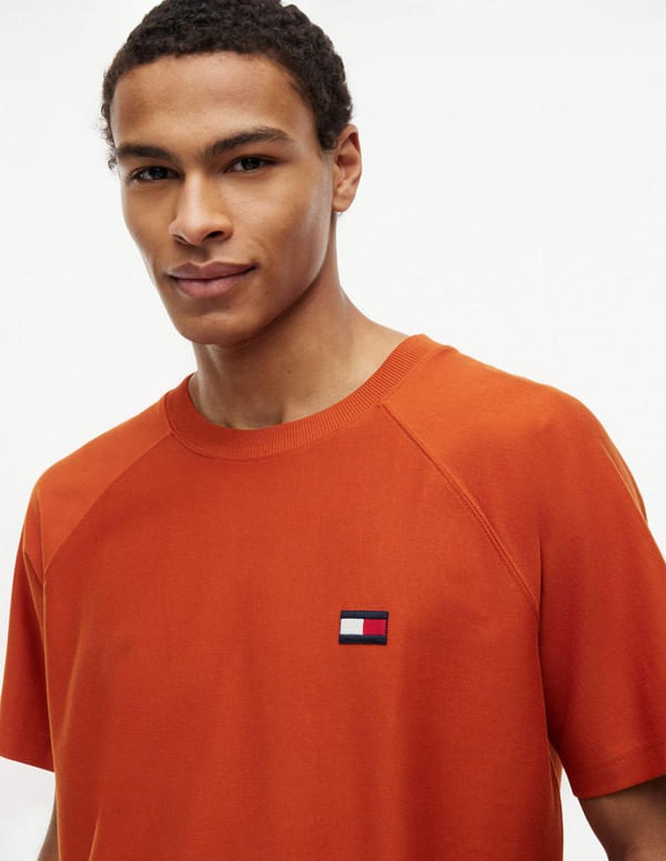 Playera tommy hilfiger cuello redondo para hombre
