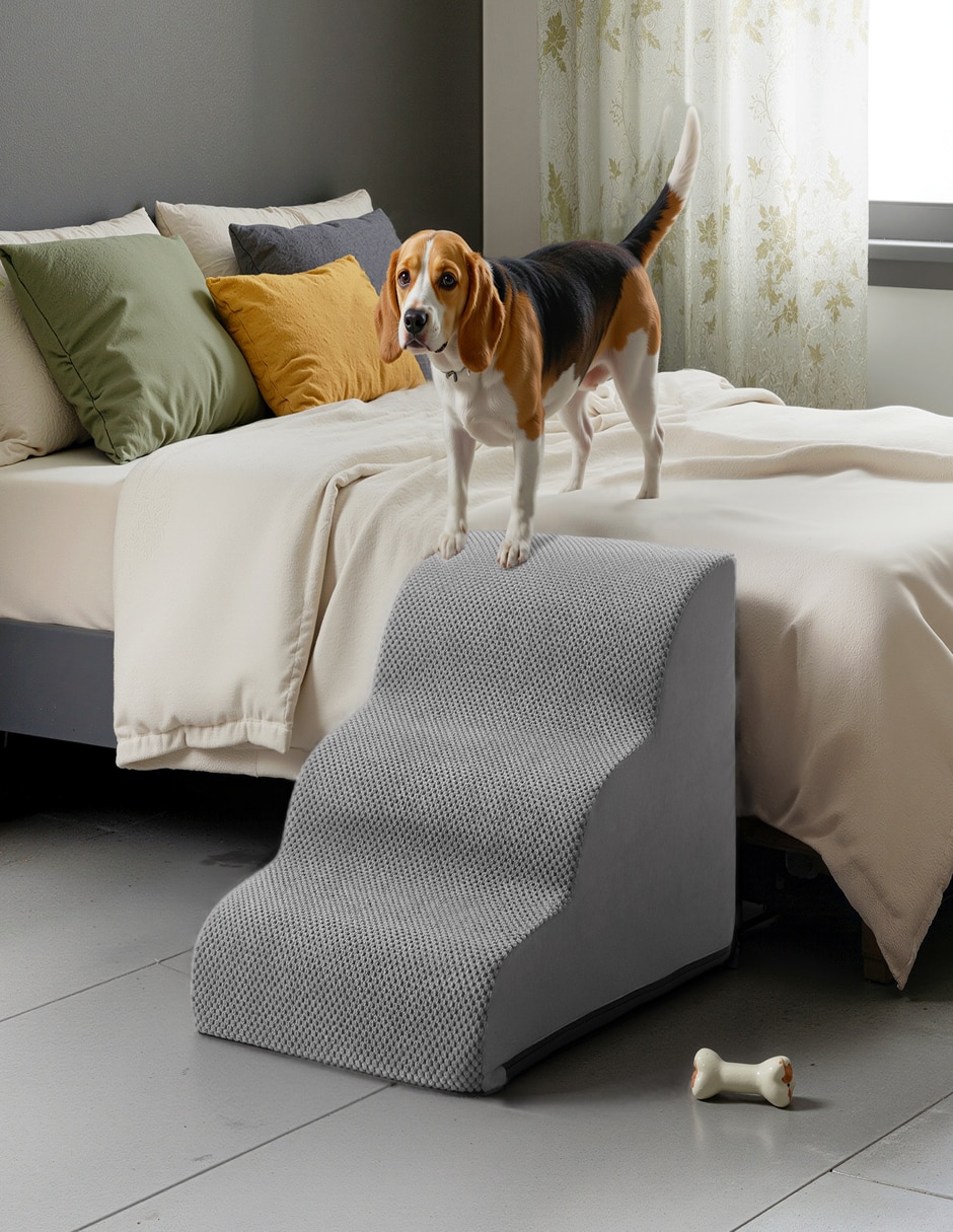 Rampa para mascota para 6