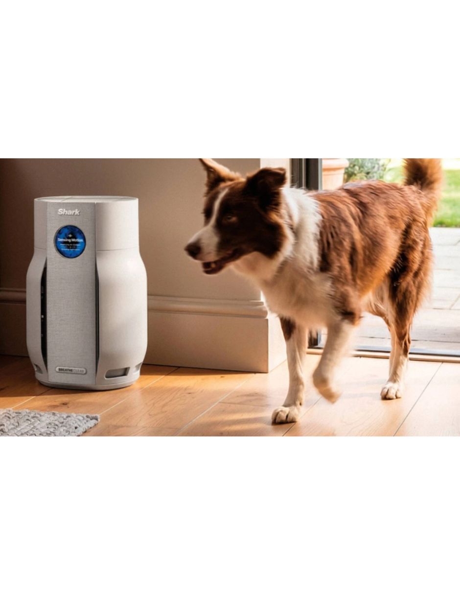 Purificador de aire shark hp162