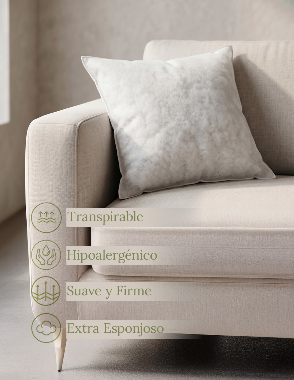Cojín decorativo 9