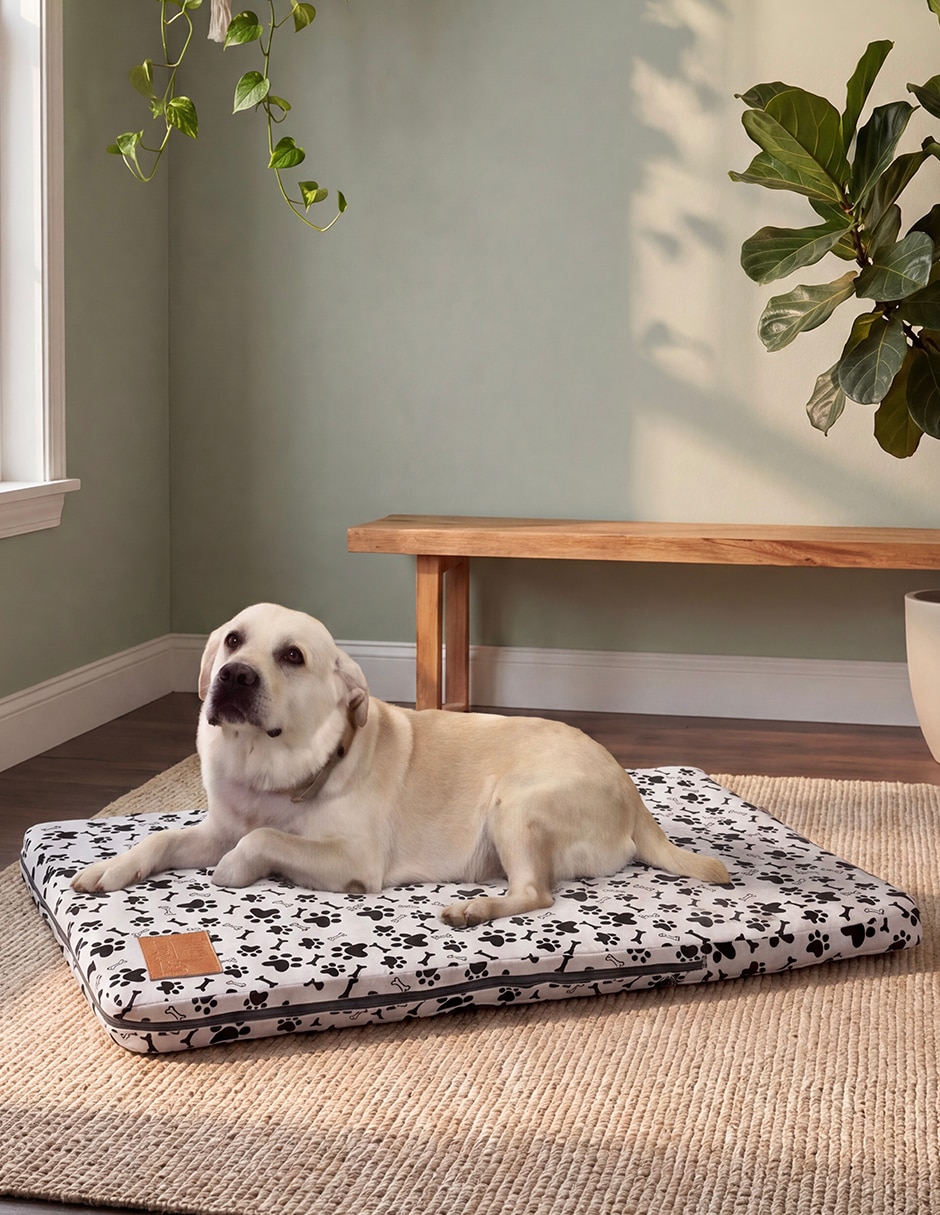 Tapete para mascota para perro y gato 2
