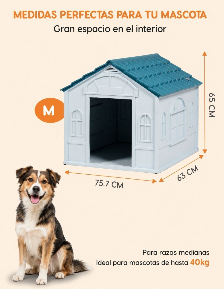 Casa para perro 9