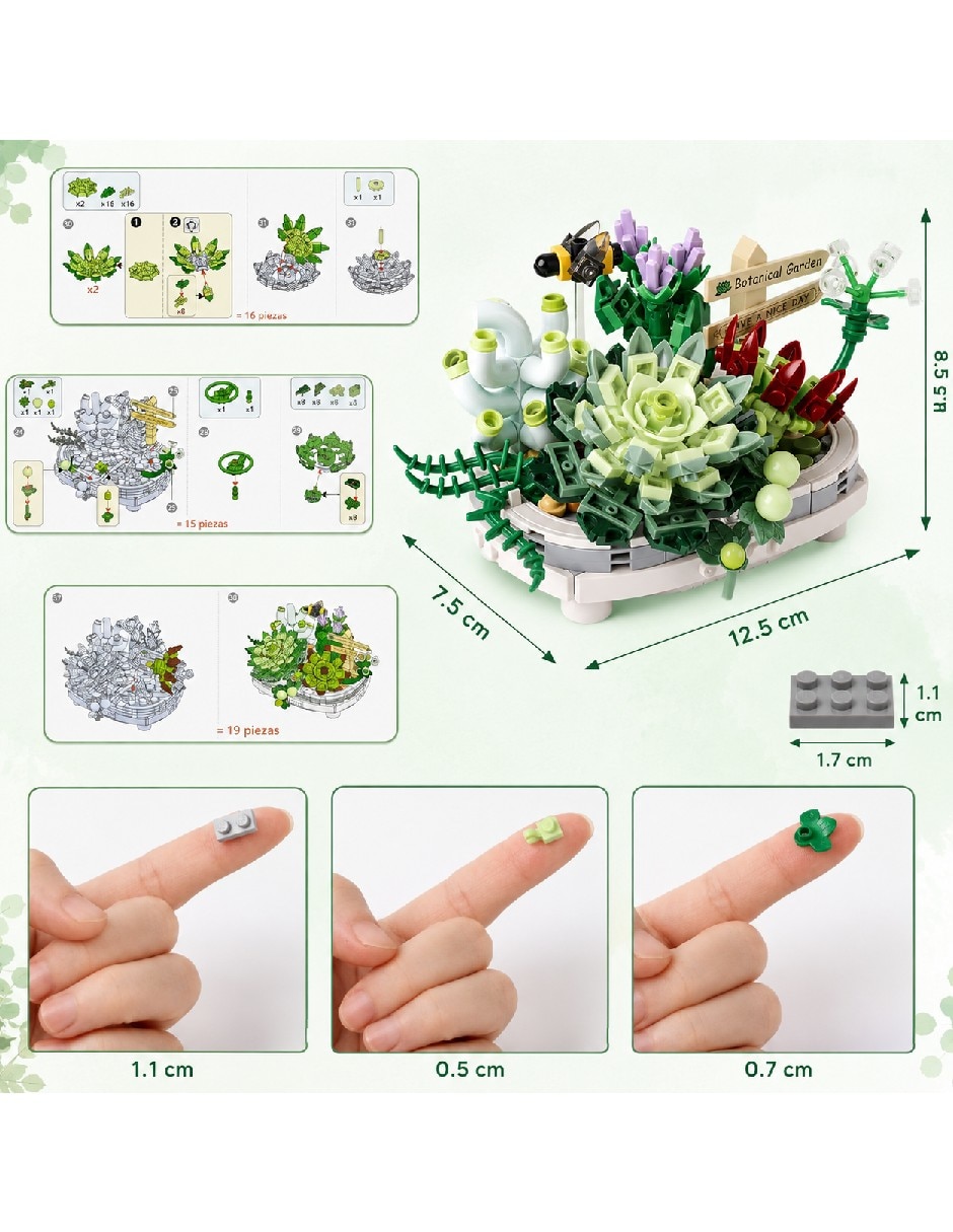 Plantas suculentas de bloques de construcción 13288GU 4