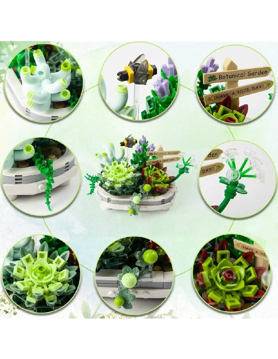 Plantas suculentas de bloques de construcción 13288GU 2