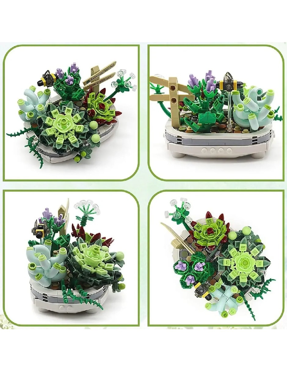 Plantas suculentas de bloques de construcción 13288GU 3