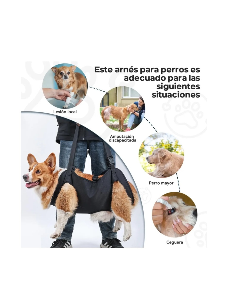 Arnés GENÉRICA de nylon para perro y gato