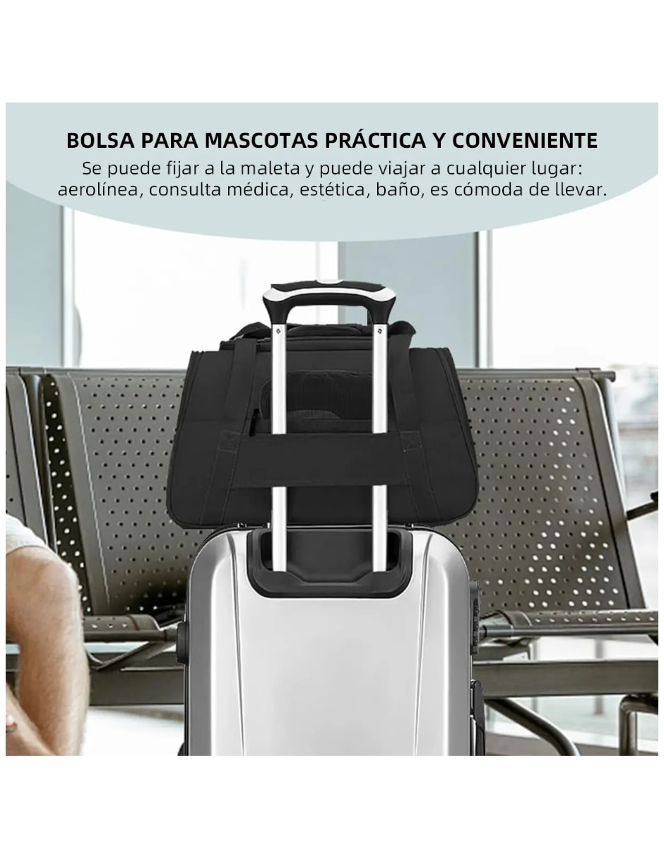 Mochila para mascota