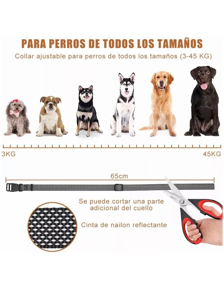 Collar de ahorque para perro