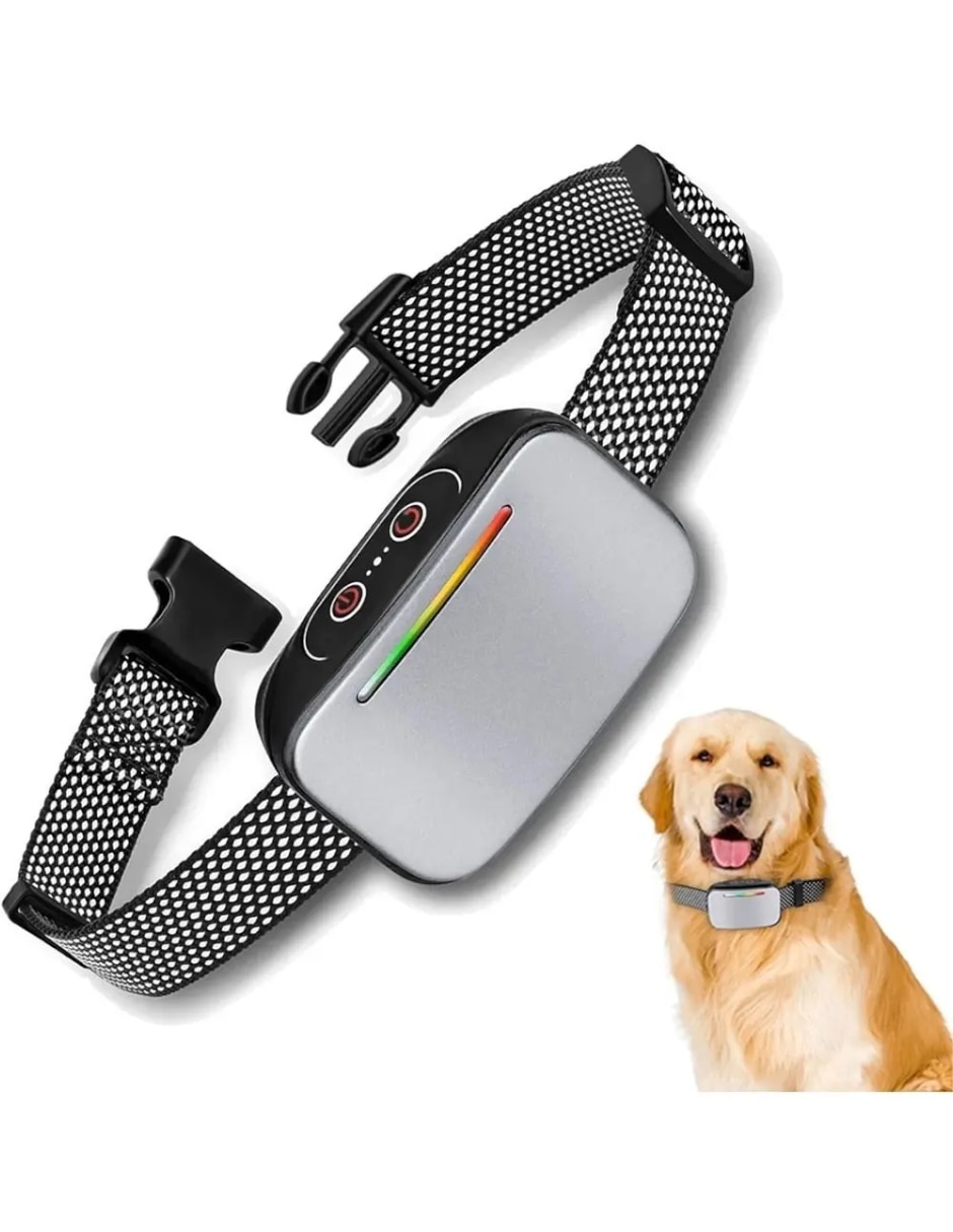 Collar de ahorque para perro