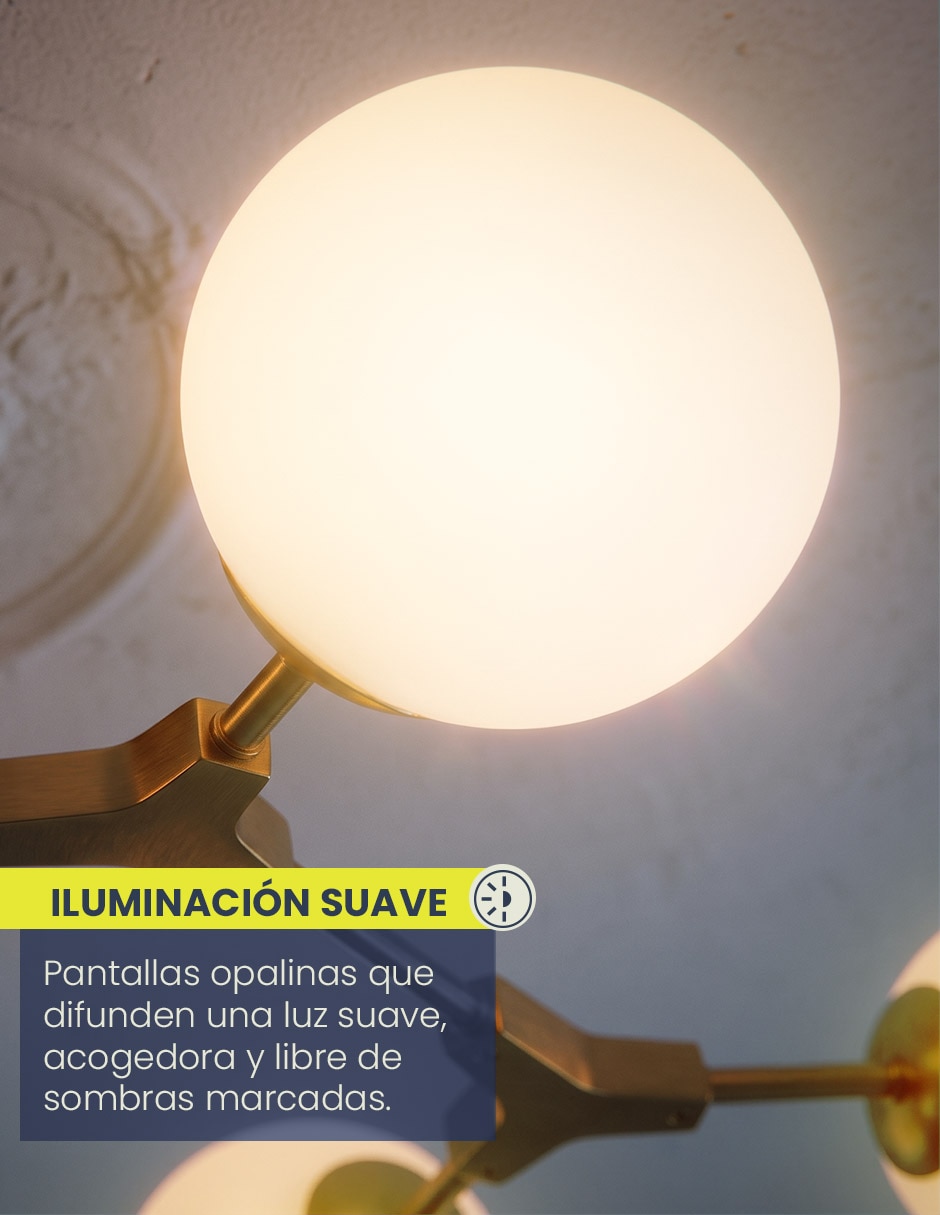 Platón Zibal 5