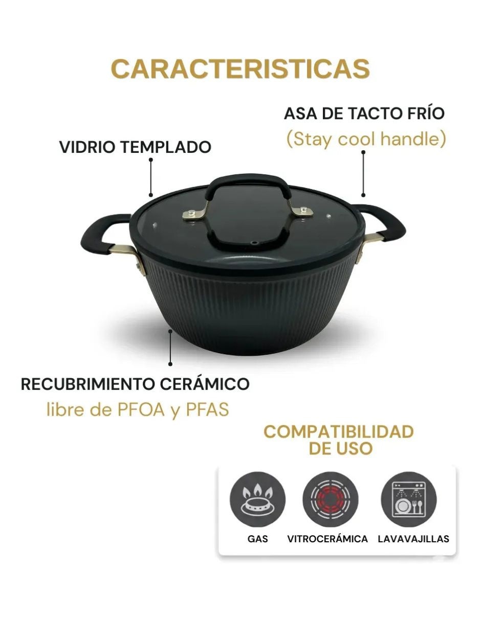 Cacerola convencional 5