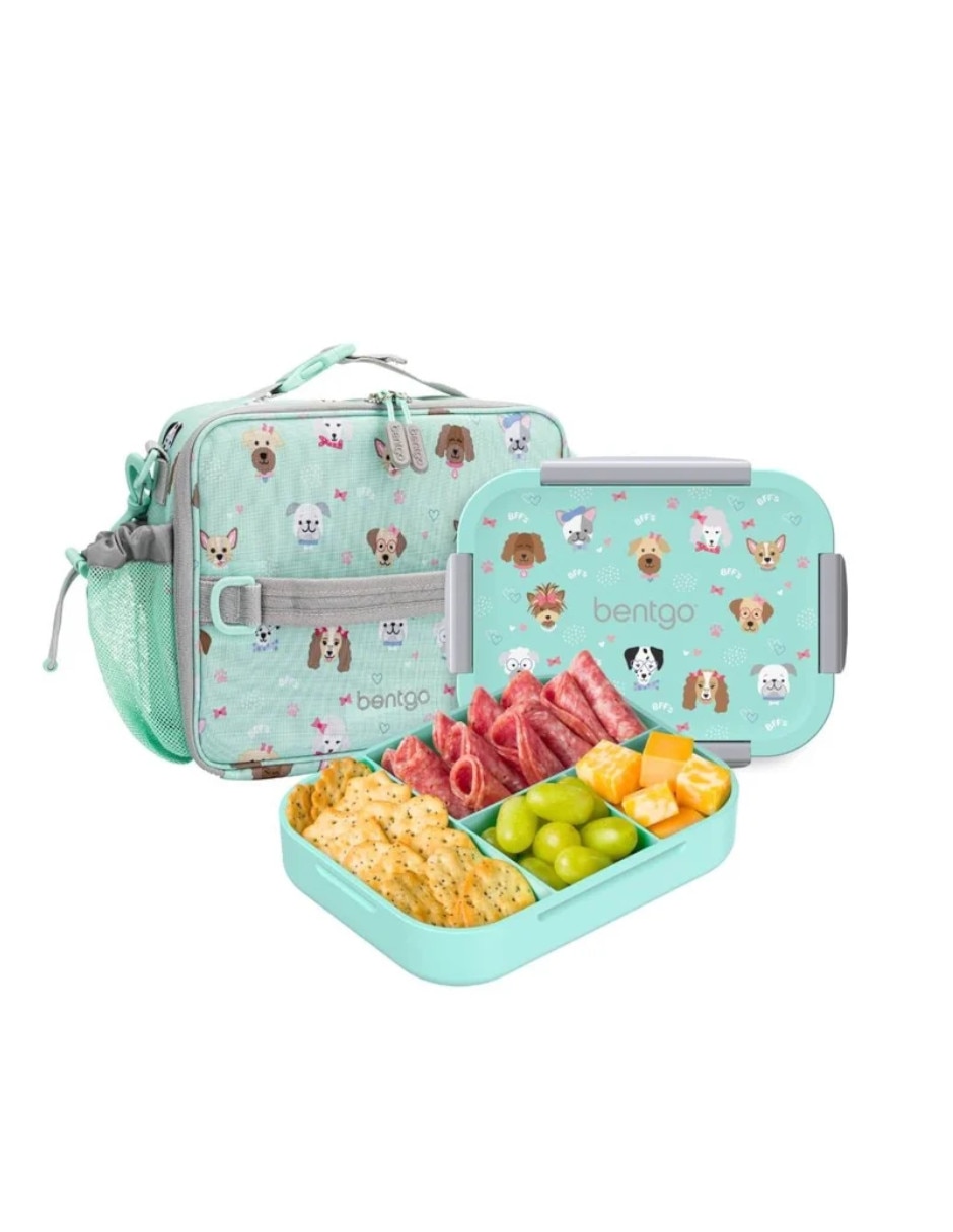 Set lonchera térmica perros y gatos 4