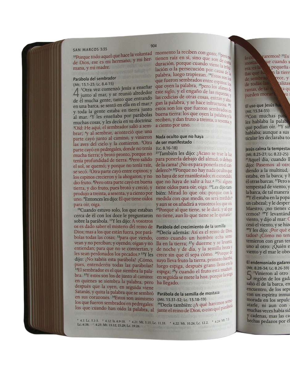 Libro Biblia RVR 1960 Letra Grande Tamaño manual León de Juda edición especial bronce de Reina Valera 2