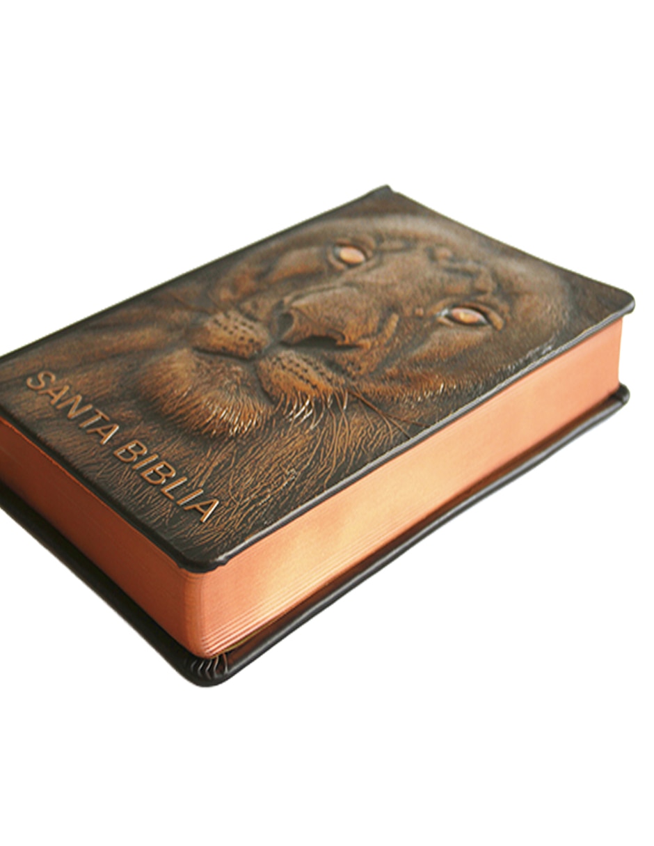 Libro Biblia RVR 1960 Letra Grande Tamaño manual León de Juda edición especial bronce de Reina Valera 3