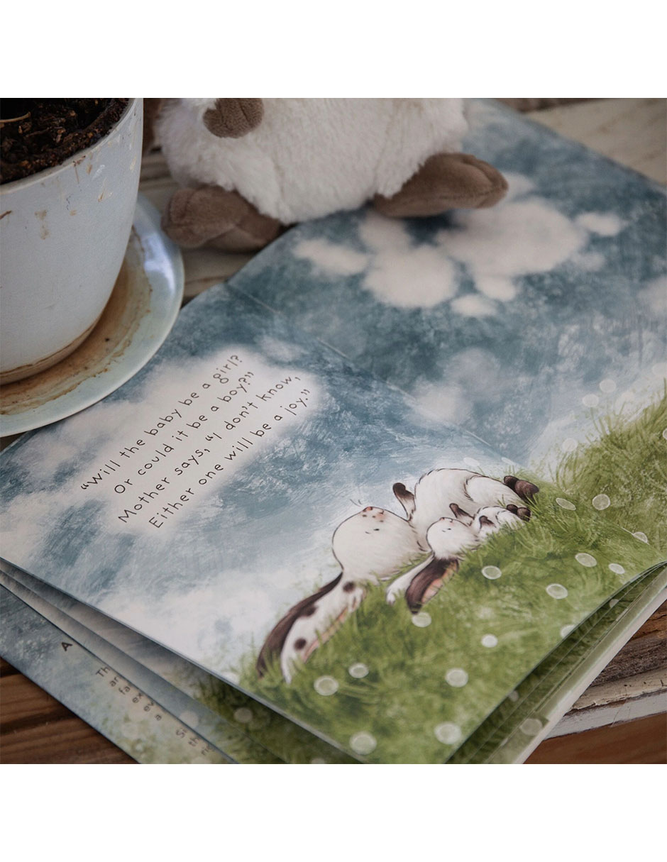 Libro Who will our new baby be? de 4