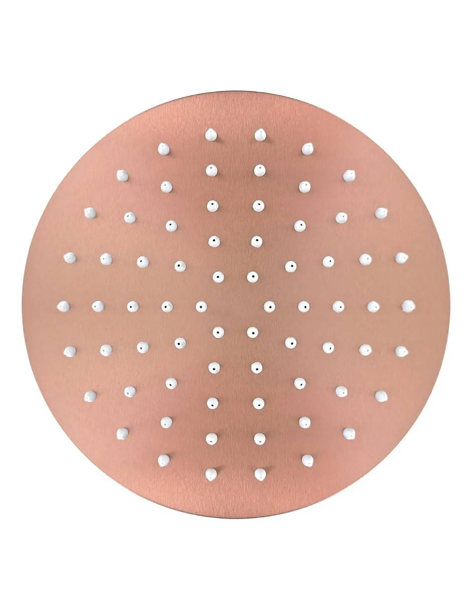 Regadera para baño 2