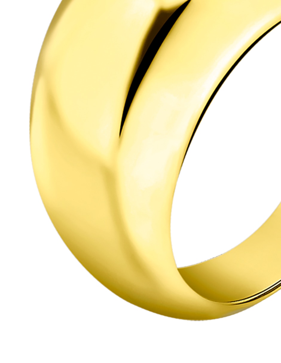 Anillo de Steel Rings brillante