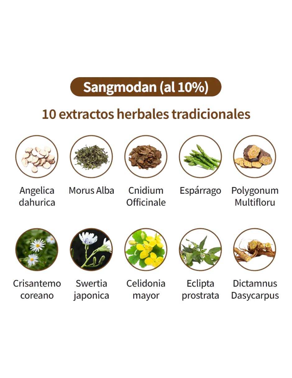 Shampoo reparador para cabello normal Herbal Coreano 500 ML 2