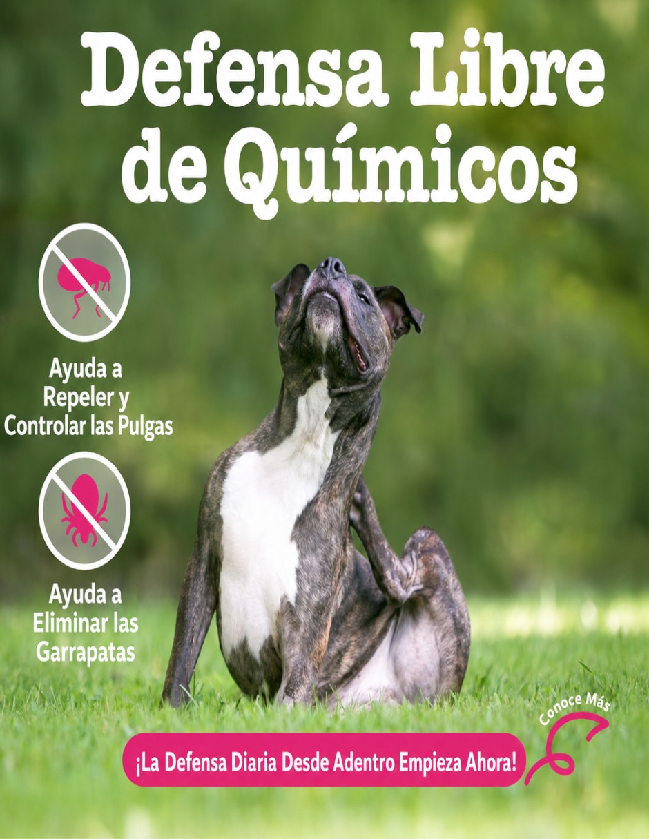 Croqueta Zesty Paws de pollo para perro todas las etapas