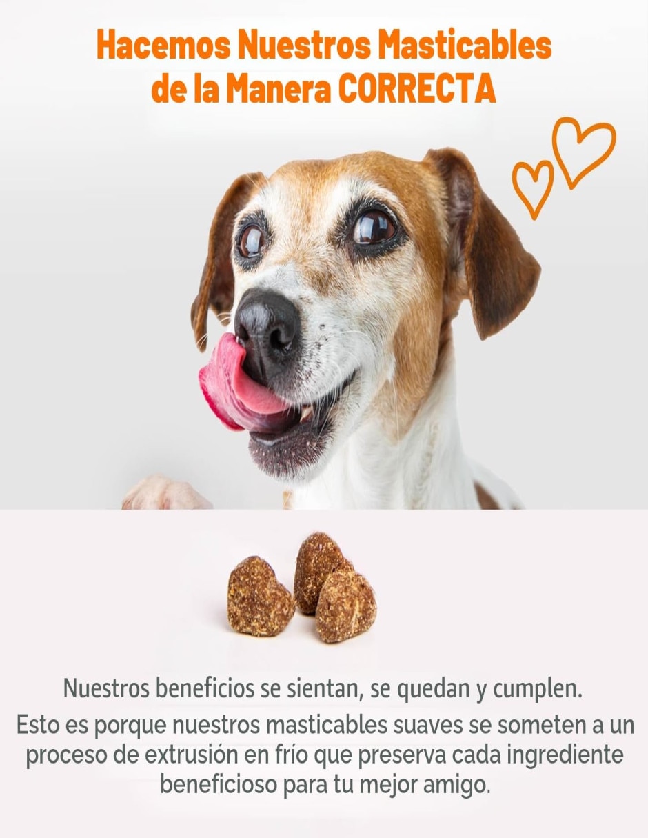 Croqueta de pollo para perro todas las etapas 4