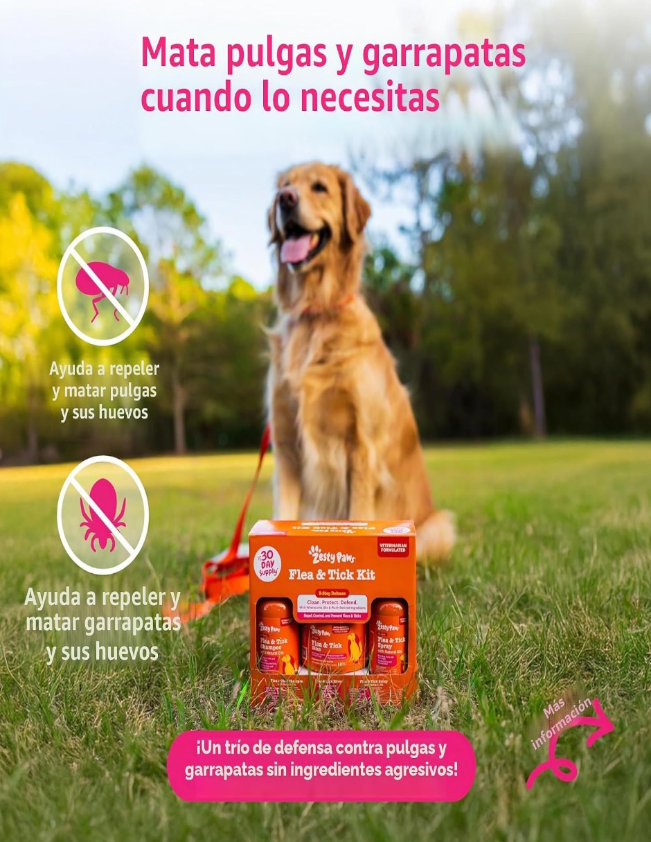 Kit croqueta y húmedo de sabor pollo para perro todas las etapas