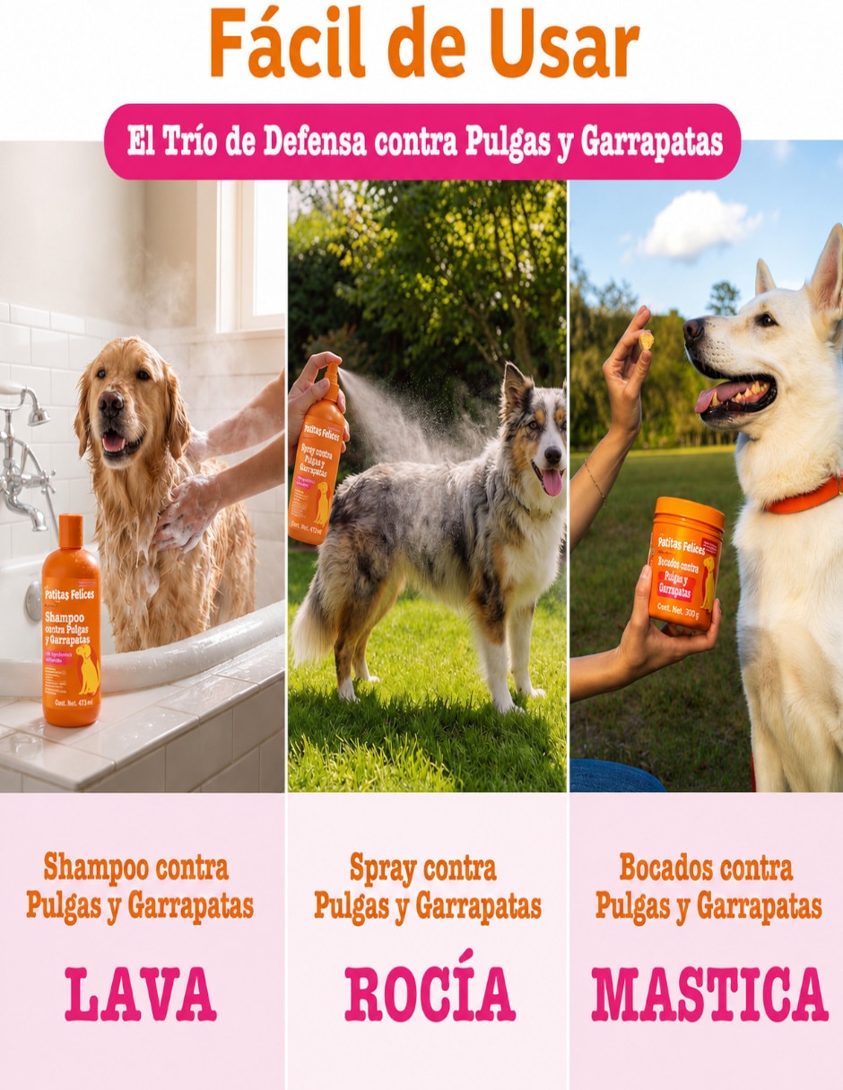 Kit croqueta y húmedo de sabor pollo para perro todas las etapas