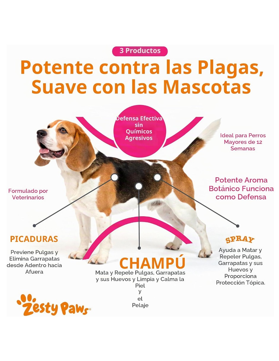 Kit croqueta y húmedo de sabor pollo para perro todas las etapas