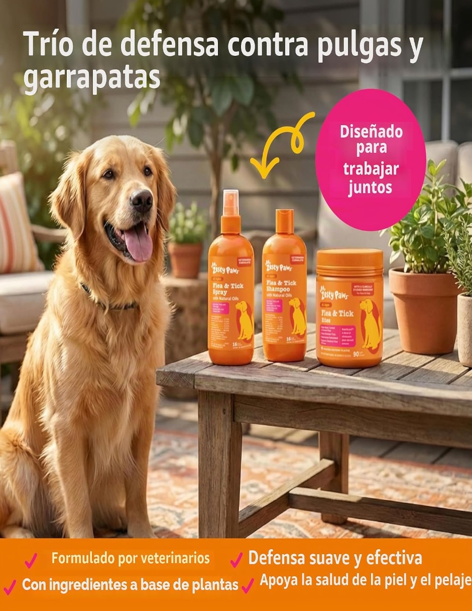 Kit croqueta y húmedo de sabor pollo para perro todas las etapas 6