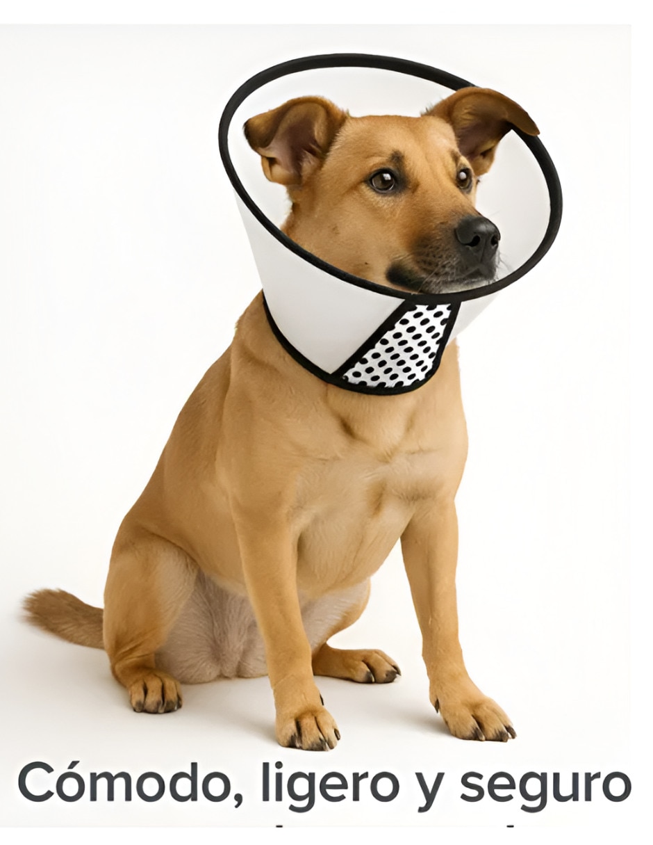 Collar isabelino de plástico para perro y gato 4